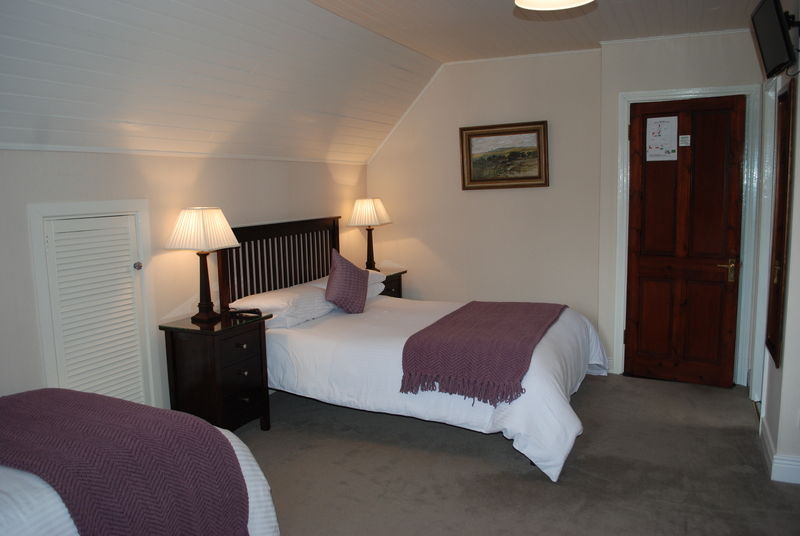 Mena House Hotel Kilkenny Exterior photo
